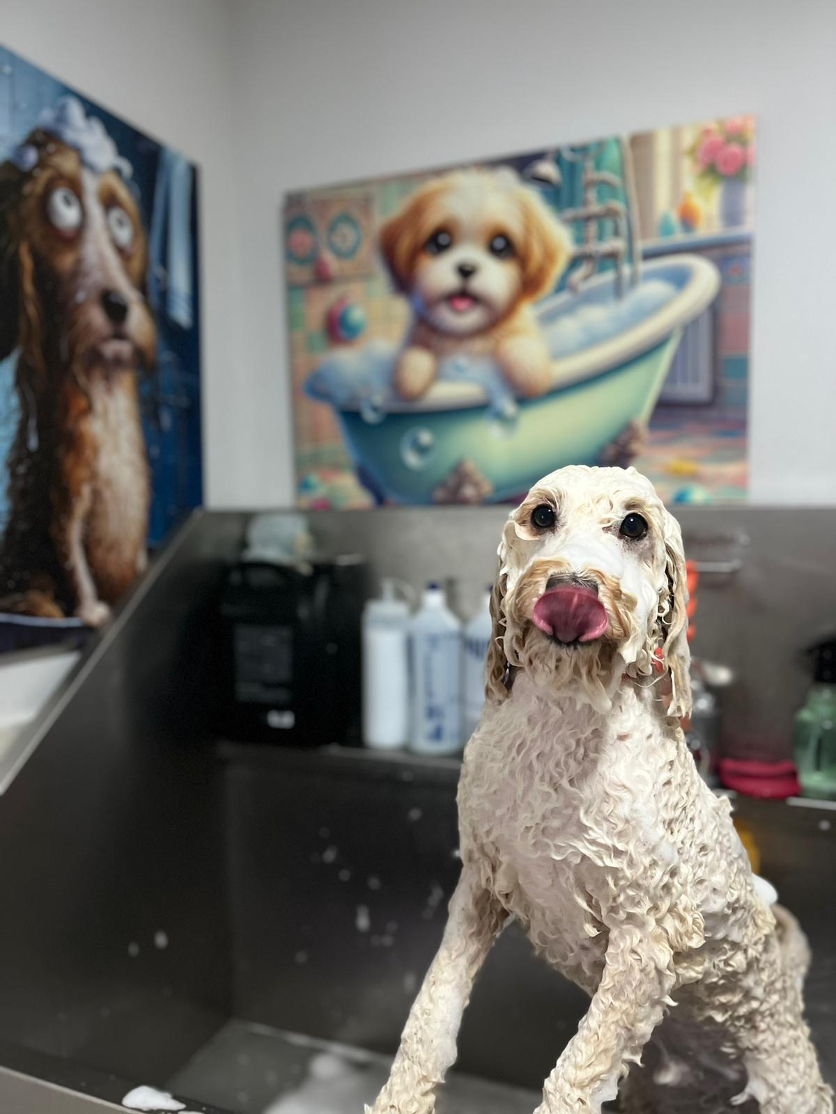 Banyo Kurutma VooVPets