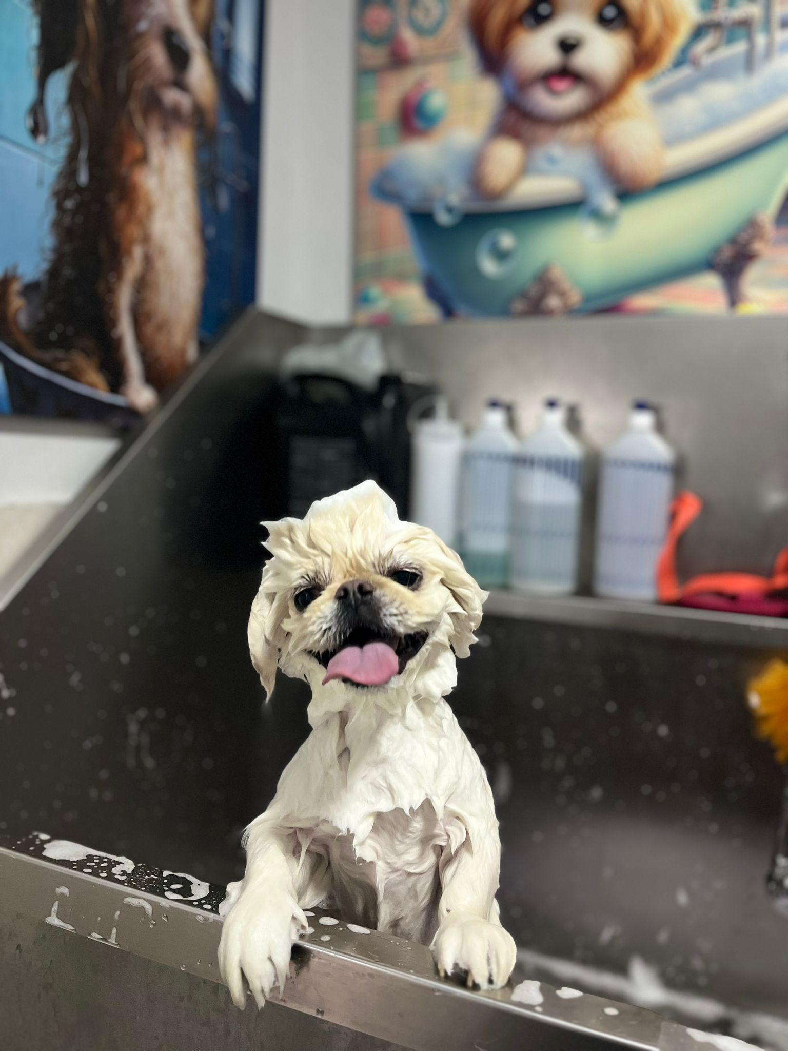 Banyo VooVPets
