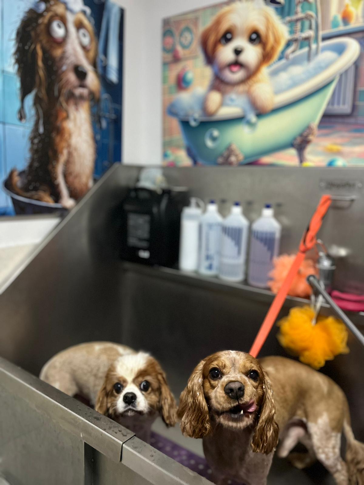 Banyo VooVPets